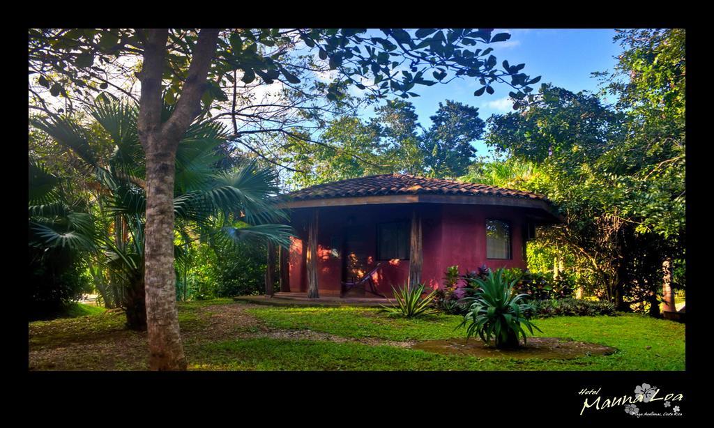 Hotel Mauna Loa Pinilla Zimmer foto