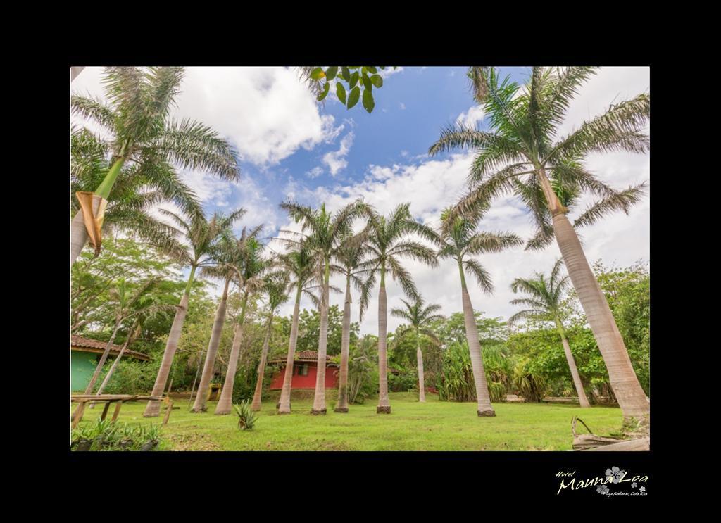Hotel Mauna Loa Pinilla Exterior foto