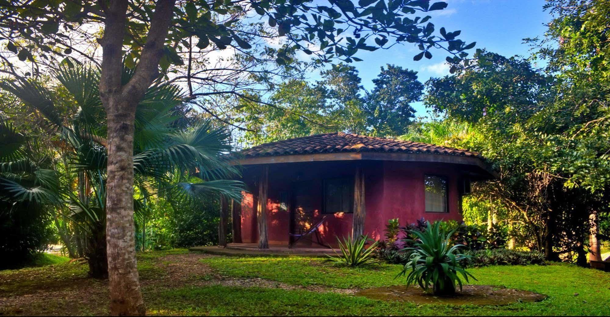Hotel Mauna Loa Pinilla Exterior foto